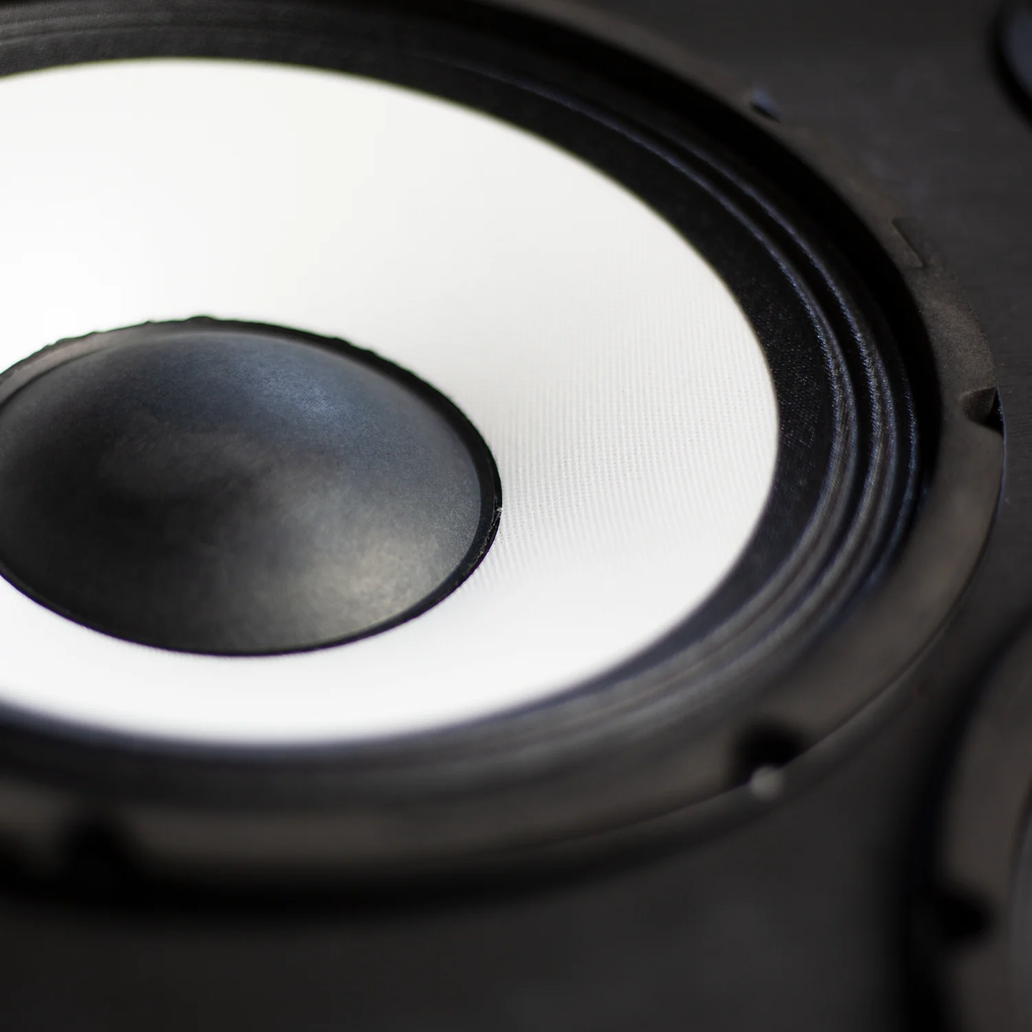 RM-210T-EVO II Super Lightweight Bass Cabinet - Image 7