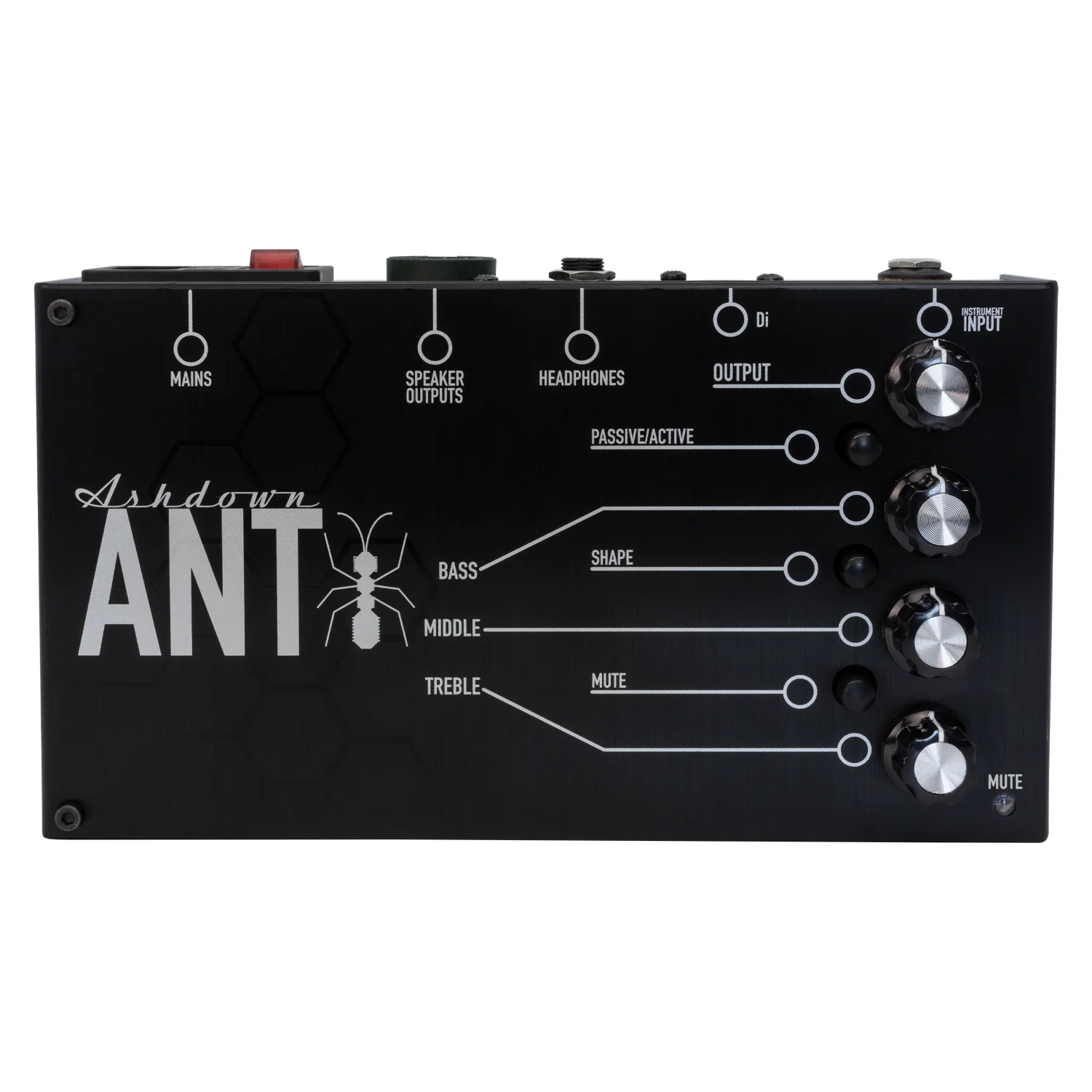 The Ant